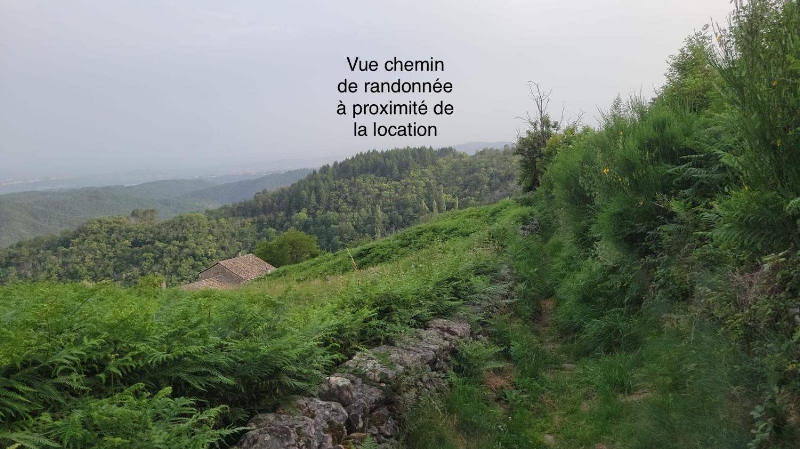 Mas De Sarjac Leilighet Saint-Andéol-de-Vals Eksteriør bilde